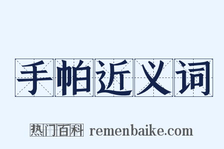 手帕近义词是什么意思的图片
